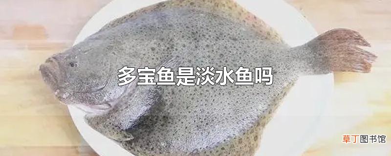 多宝鱼是淡水鱼吗