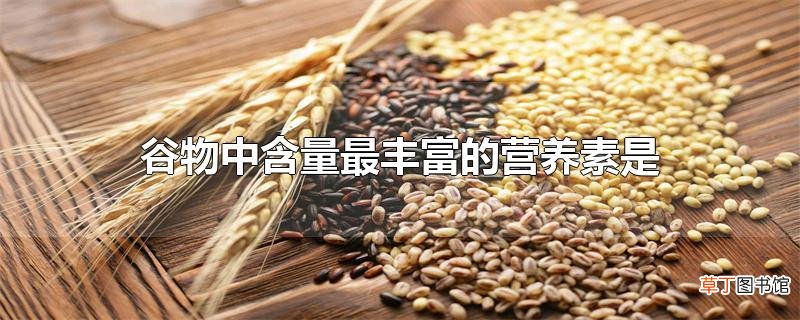 谷物中含量最丰富的营养素是