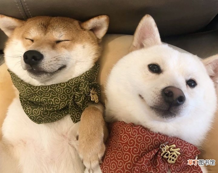 微信状态文案有哪些？