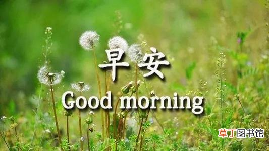早上问好的撩人情话有哪些？