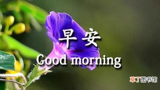 早上问好的撩人情话有哪些？