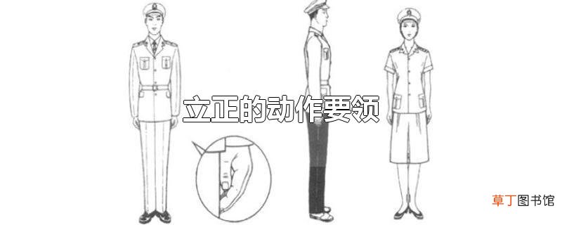 立正的动作要领