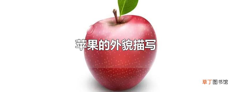 苹果的外貌描写