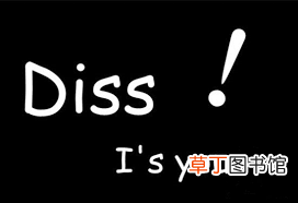 diss是什么意思中文?diss使用例子
