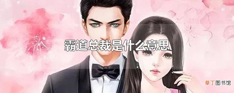 霸道总裁是什么意思
