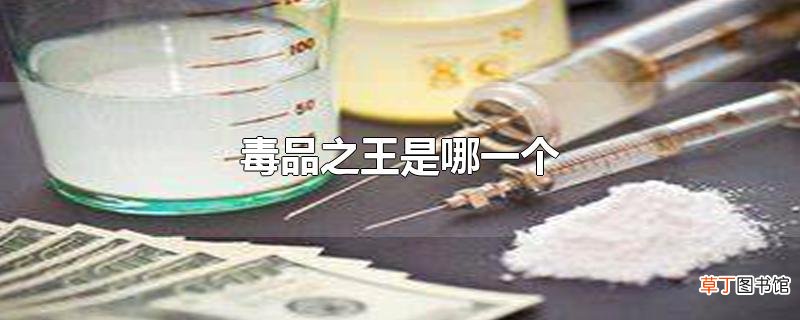 毒品之王是哪一个