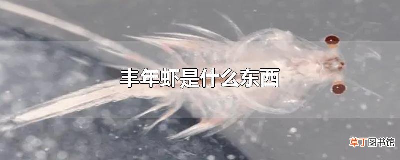 丰年虾是什么东西