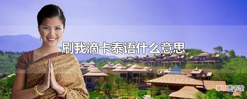 刷我滴卡泰语什么意思