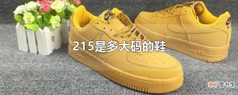 215是多大码的鞋