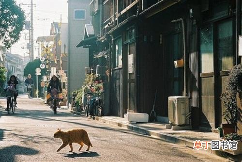 淘宝企业店铺和个人店铺的区别，各自优势是什么？