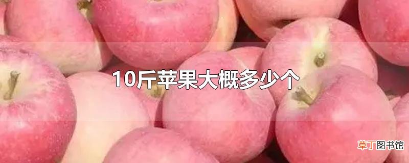 10斤苹果大概多少个