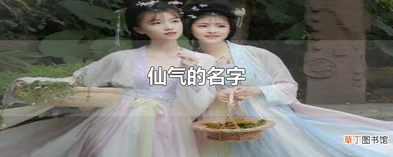 仙气的名字