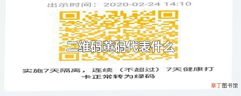 二维码黄码代表什么