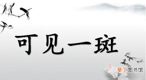 可见一斑是什么意思？可见一斑成语造句