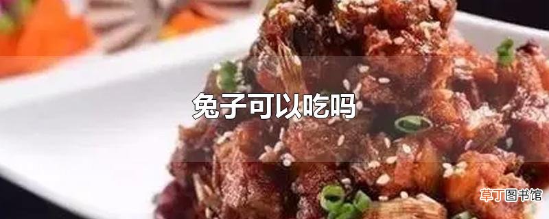 兔子可以吃吗
