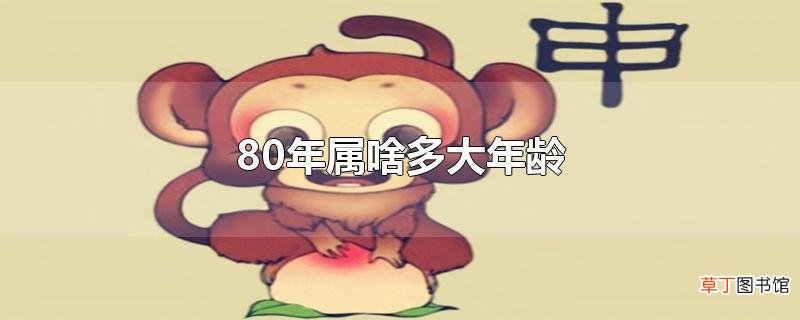 80年属啥多大年龄