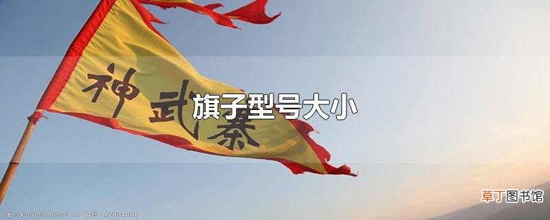 旗子型号大小