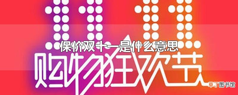保价双十一是什么意思