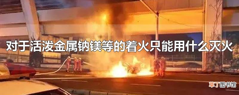 对于活泼金属钠镁等的着火只能用什么灭火