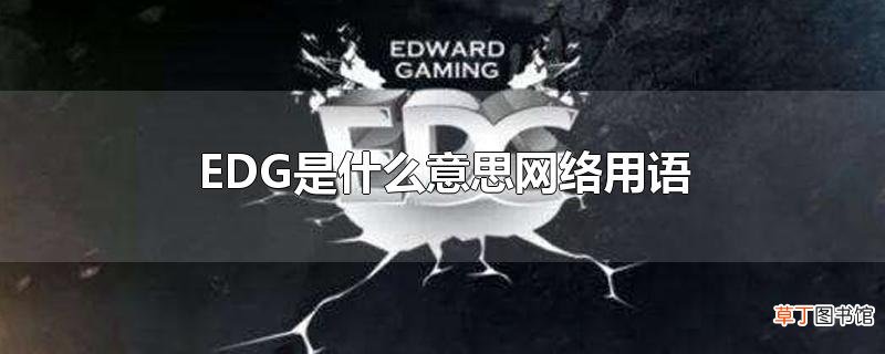 EDG是什么意思网络用语