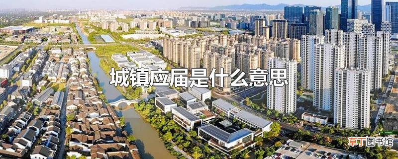 城镇应届是什么意思