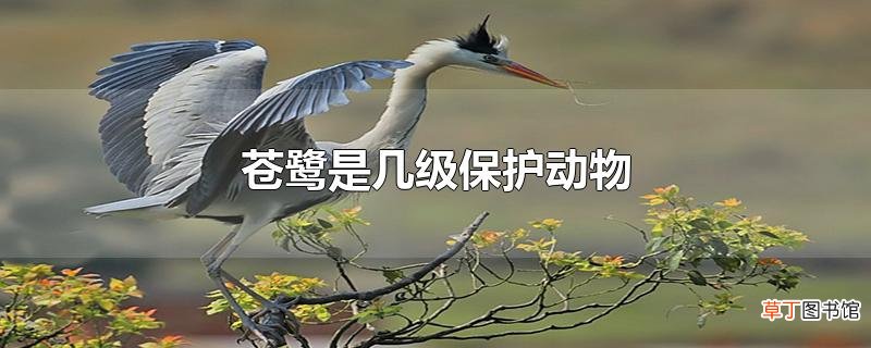 苍鹭是几级保护动物