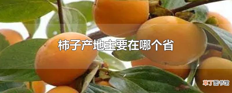 柿子产地主要在哪个省