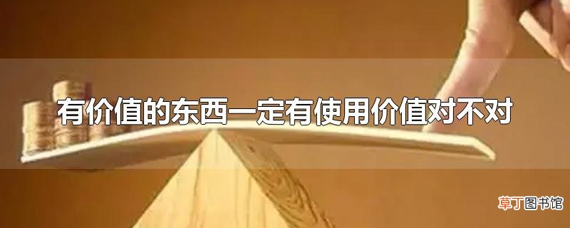 有价值的东西一定有使用价值对不对