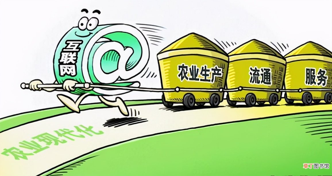 农村电商：不只是卖货