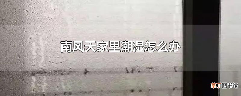 南风天家里潮湿怎么办