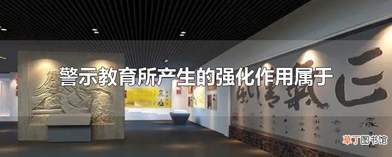 警示教育所产生的强化作用属于