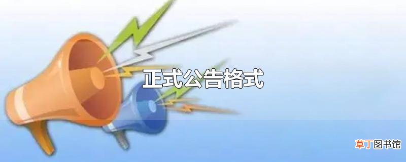 正式公告格式