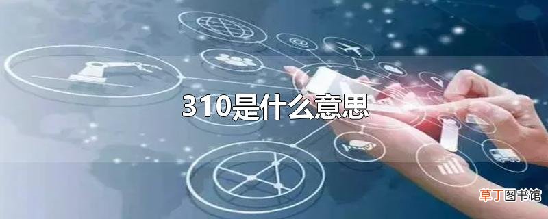 310是什么意思