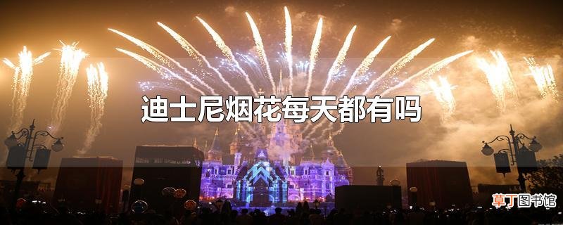 迪士尼烟花每天都有吗