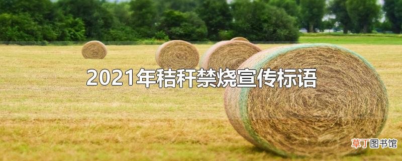 2021年秸秆禁烧宣传标语