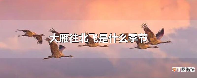 大雁往北飞是什么季节