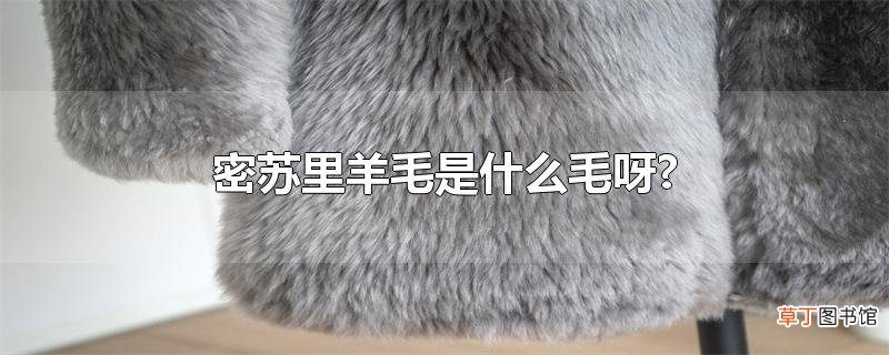 密苏里羊毛是什么毛呀?