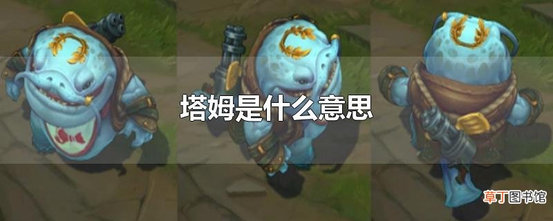 塔姆是什么意思