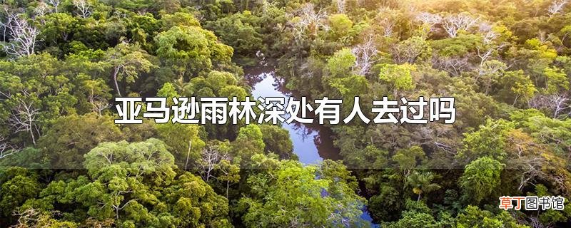 亚马逊雨林深处有人去过吗