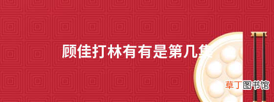 顾佳打林有有是第几集
