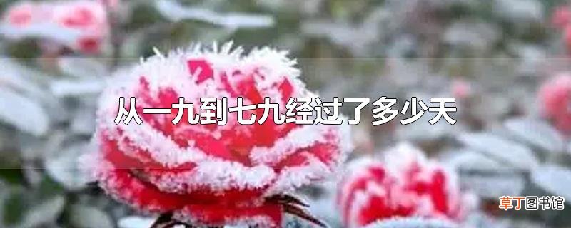 从一九到七九经过了多少天