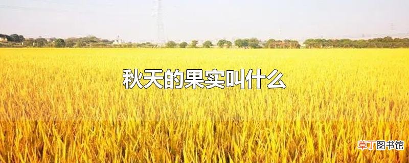 秋天的果实叫什么