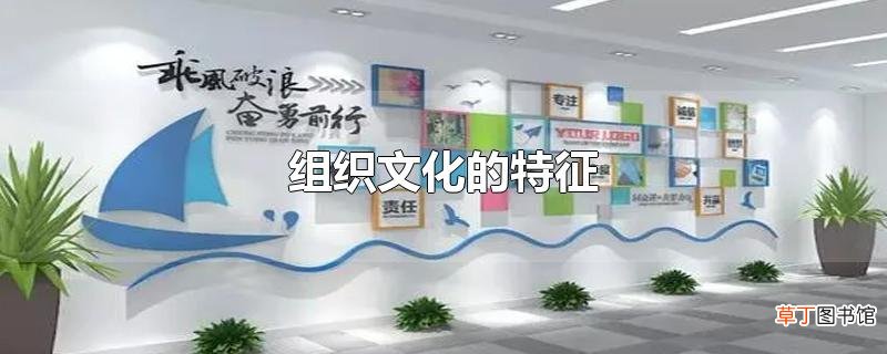 组织文化的特征
