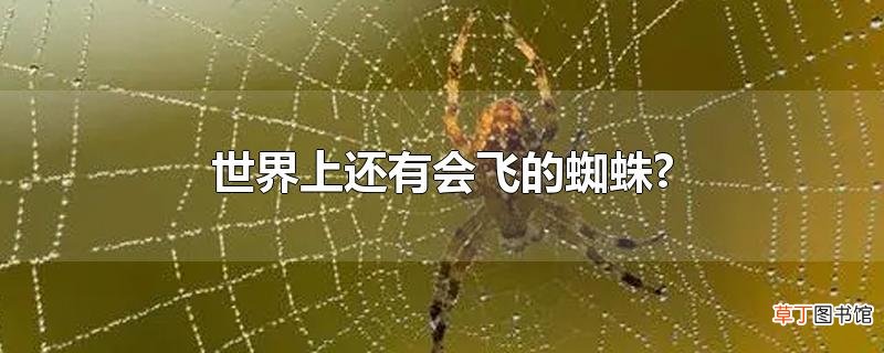 世界上还有会飞的蜘蛛?