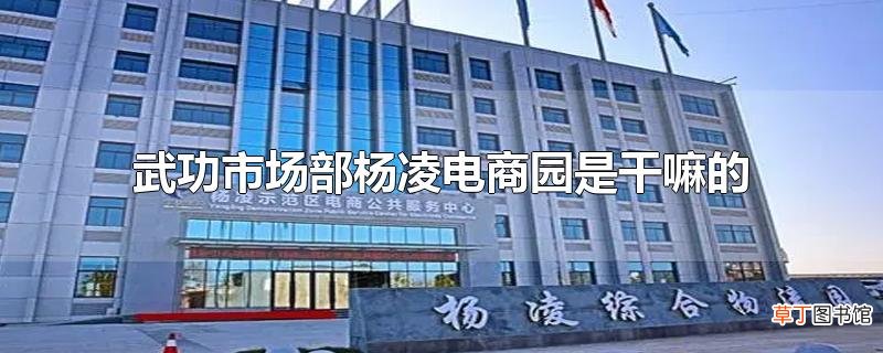 武功市场部杨凌电商园是干嘛的