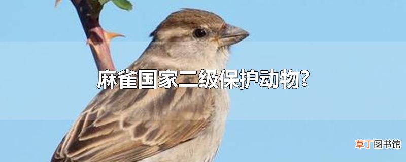 麻雀国家二级保护动物?