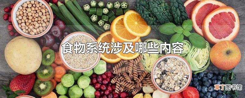 食物系统涉及哪些内容