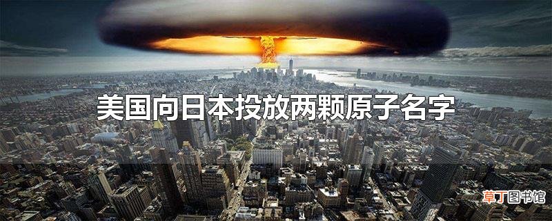 美国向日本投放两颗原子名字