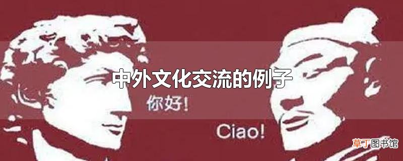 中外文化交流的例子