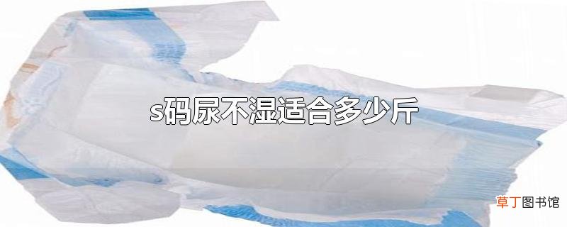 s码尿不湿适合多少斤